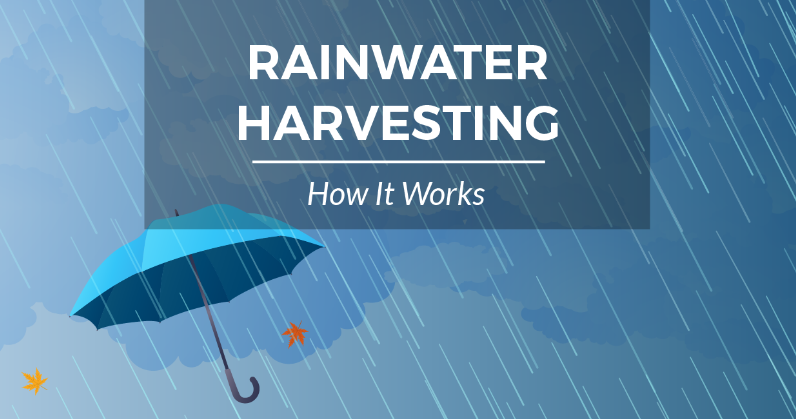 Rainwater Harvesting | How It Works | Infographic